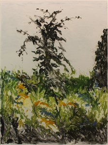 Image description is not available for 2015.015